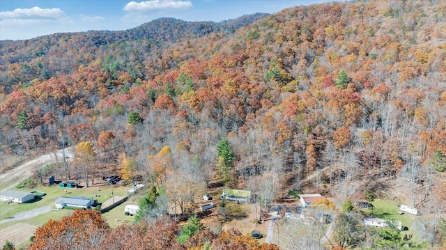 7820 Ogle Creek Rd, Covington, VA 24426 - view of mountain backdrop featuring a heavily wooded area