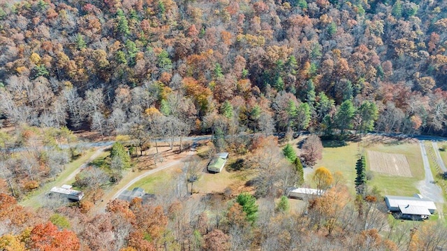 7820 Ogle Creek Rd, Covington, VA 24426 - view of property location featuring a forest