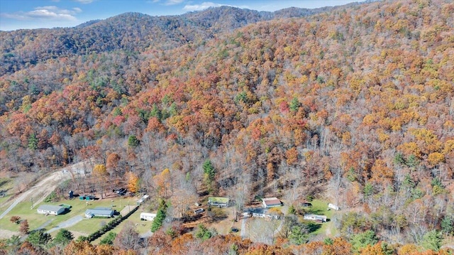 7820 Ogle Creek Rd, Covington, VA 24426 - view of property location featuring a heavily wooded area and mountains