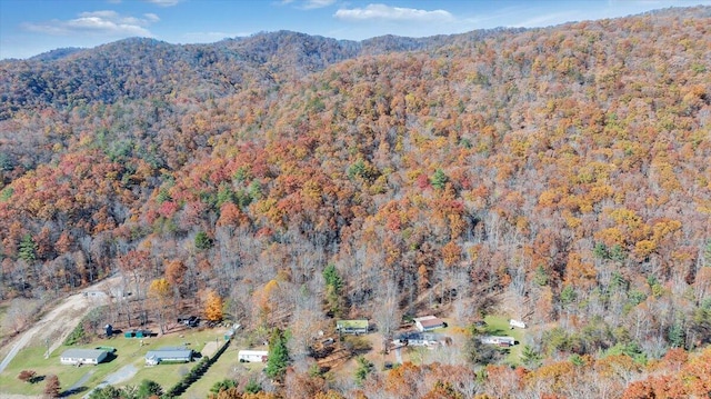 aerial view with a mountain view