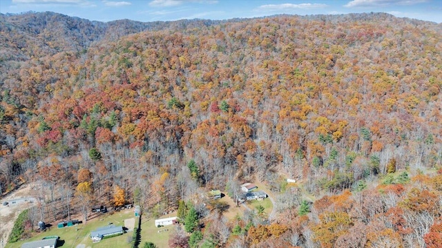 birds eye view of property with a mountain view