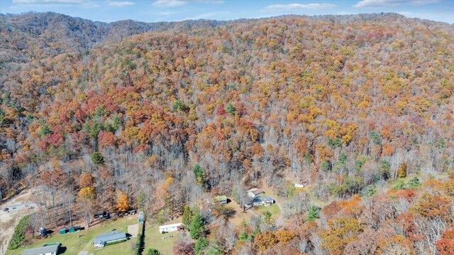 7820 Ogle Creek Rd, Covington, VA 24426 - view of property location with a forest and a mountainous background