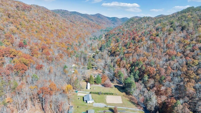 7820 Ogle Creek Rd, Covington, VA 24426 - aerial view of property's location featuring a mountain backdrop and a forest