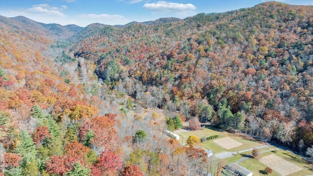 7820 Ogle Creek Rd, Covington, VA 24426 - aerial view of property's location featuring a forest and a mountain backdrop