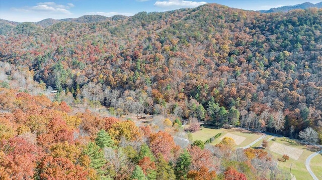 birds eye view of property featuring a mountain view