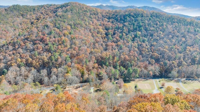 view of mountain feature