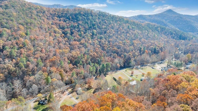 7820 Ogle Creek Rd, Covington, VA 24426 - mountain view with a heavily wooded area