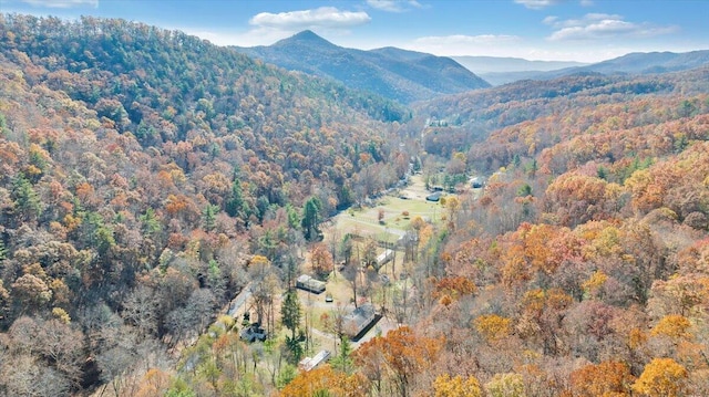 7820 Ogle Creek Rd, Covington, VA 24426 - view of mountain backdrop featuring a heavily wooded area