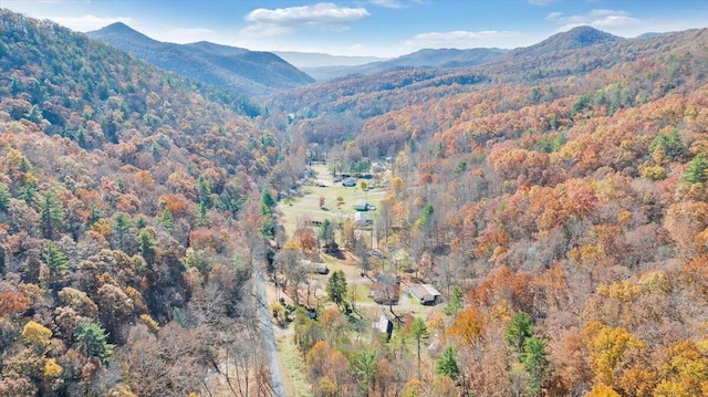 property view of mountains