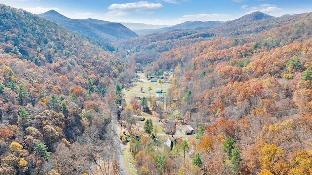 7820 Ogle Creek Rd, Covington, VA 24426 - view of mountain background with a forest