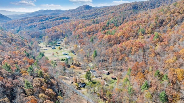 7820 Ogle Creek Rd, Covington, VA 24426 - view of mountain background with a forest