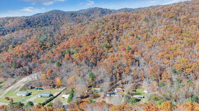 bird's eye view with a mountain view