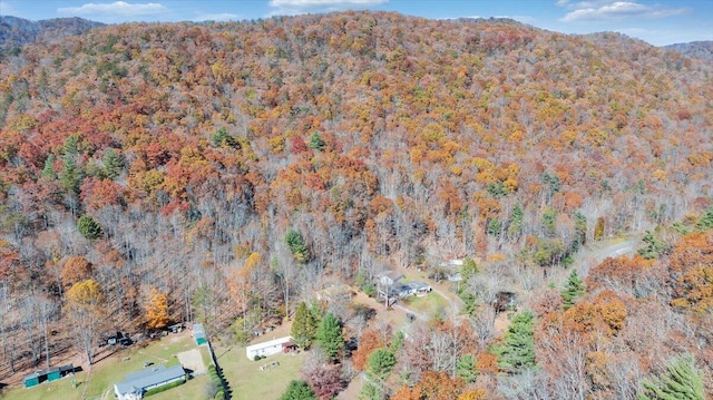 7820 Ogle Creek Rd, Covington, VA 24426 - view of property location featuring a forest and mountains