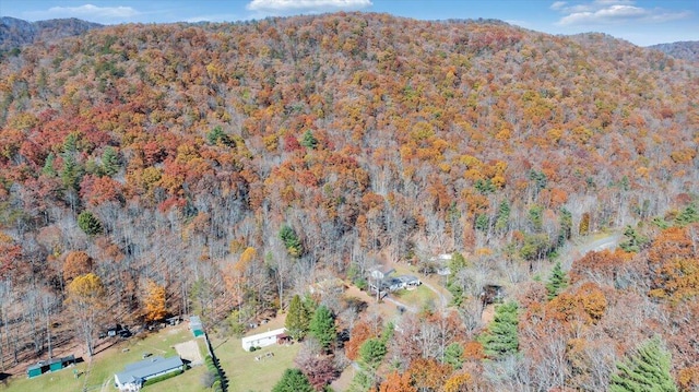 7820 Ogle Creek Rd, Covington, VA 24426 - view of property location featuring a forest and a mountainous background