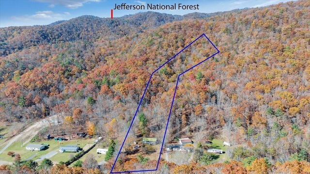 7820 Ogle Creek Rd, Covington, VA 24426 - view of property location with a forest, property boundaries highlighted, and a mountainous background