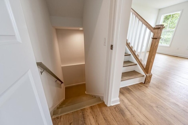 staircase with hardwood / wood-style flooring