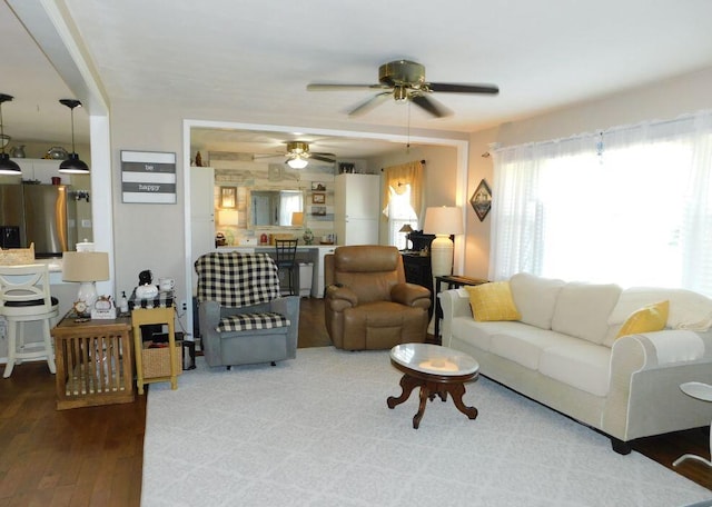 living room with ceiling fan and wood-type flooring