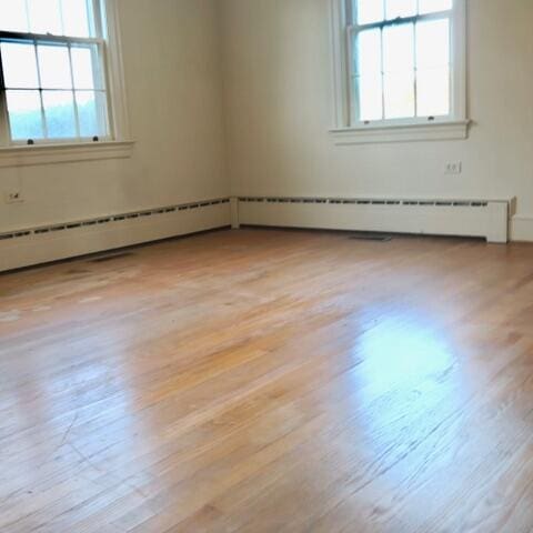 spare room with light hardwood / wood-style flooring and a wealth of natural light