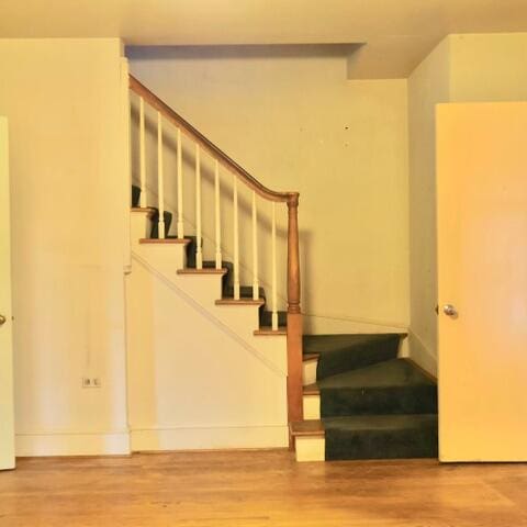 stairway with hardwood / wood-style floors