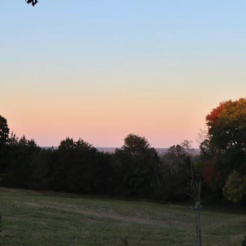 view of yard at dusk