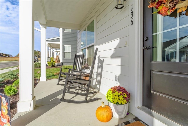 view of patio / terrace with covered porch