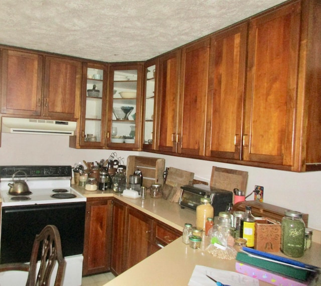 kitchen featuring electric range, a textured ceiling, and exhaust hood