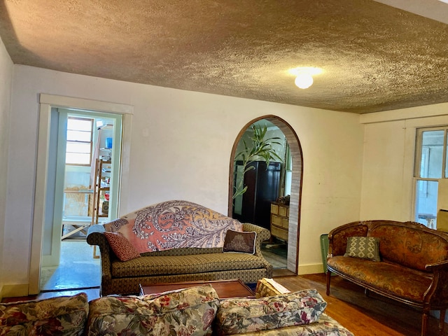 living room featuring hardwood / wood-style floors and a textured ceiling