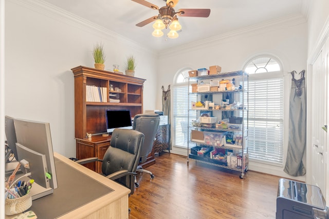 office space featuring ceiling fan, crown molding, and hardwood / wood-style floors