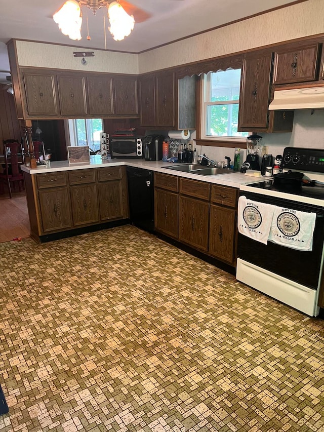 kitchen with sink, electric stove, dark brown cabinets, and dishwasher