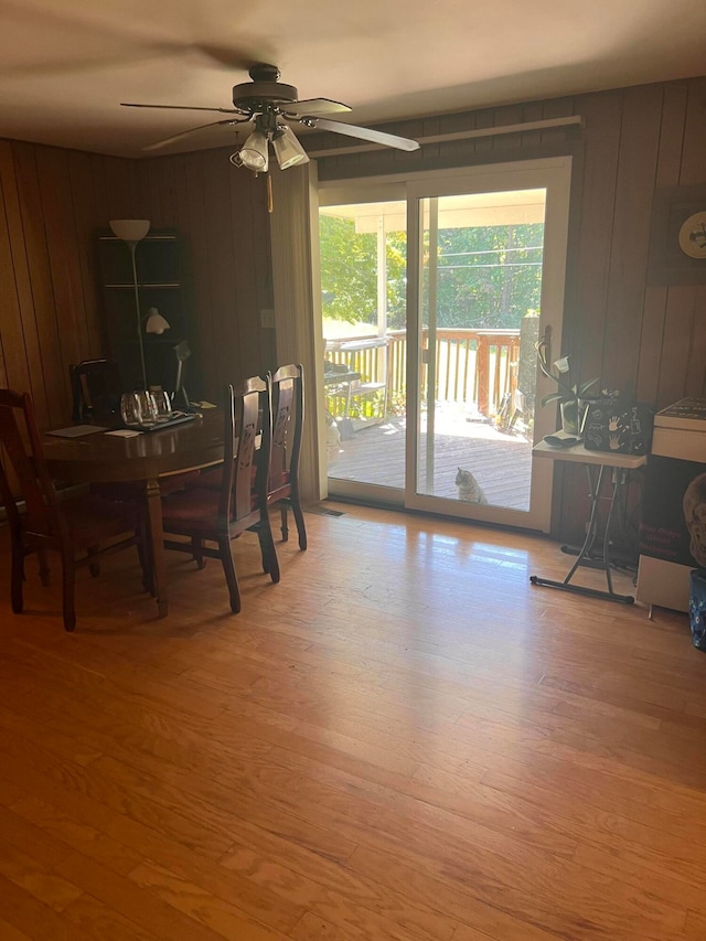 dining space with wooden walls, light wood-type flooring, and ceiling fan