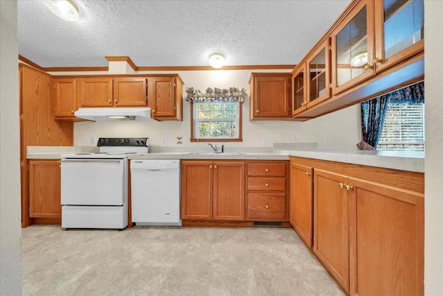 kitchen with a textured ceiling, plenty of natural light, white appliances, and sink