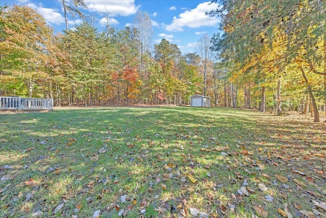 view of yard featuring a storage unit