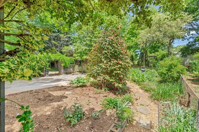 view of yard featuring fence and a patio area