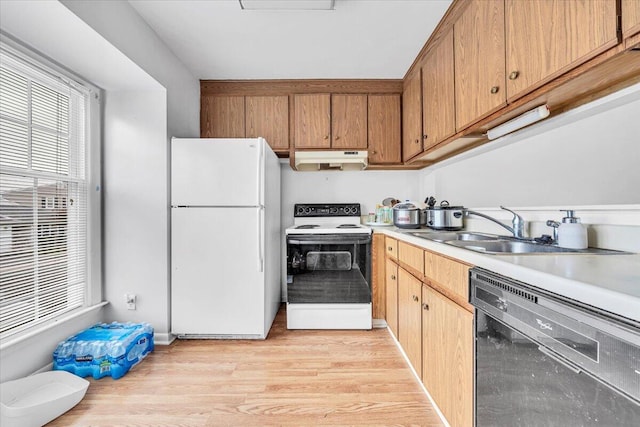 kitchen with light wood-type flooring, white appliances, and sink