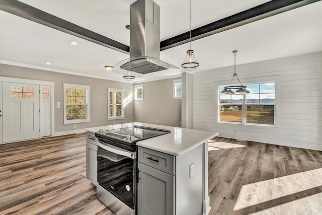 1154 Barrow Hills Dr, Huddleston, VA 24104 - kitchen with stainless steel electric range, wood finished floors, island exhaust hood, gray cabinets, and light countertops