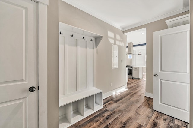 mudroom with dark hardwood / wood-style floors and crown molding