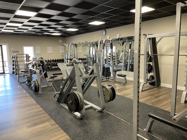exercise room with a drop ceiling, baseboards, and wood finished floors