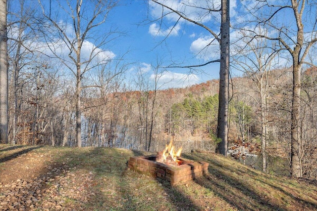 view of yard featuring a fire pit