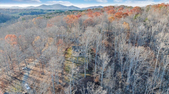 birds eye view of property featuring a mountain view