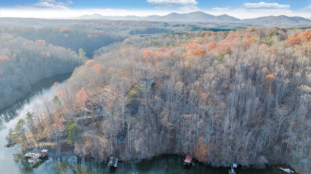 bird's eye view with a water and mountain view