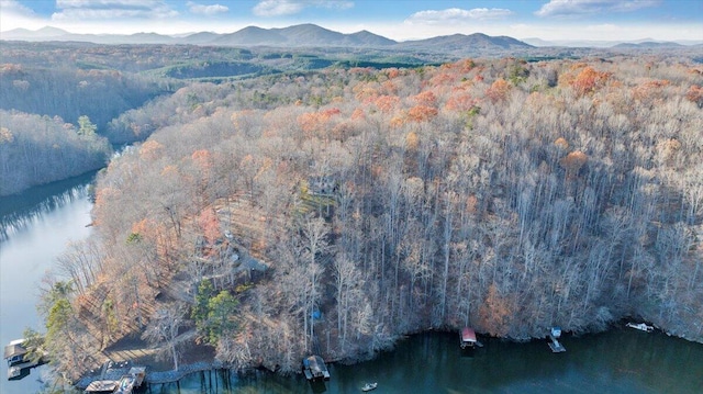 aerial view with a water and mountain view