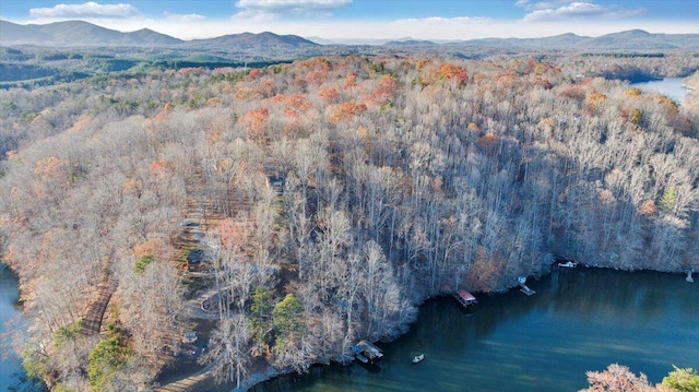 bird's eye view featuring a water and mountain view