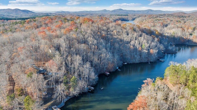 birds eye view of property featuring a water and mountain view