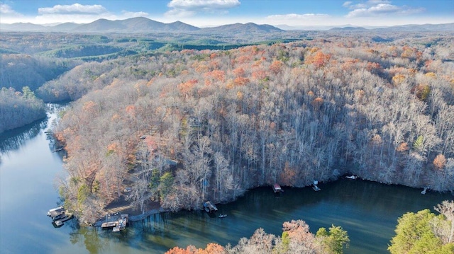 bird's eye view with a water and mountain view