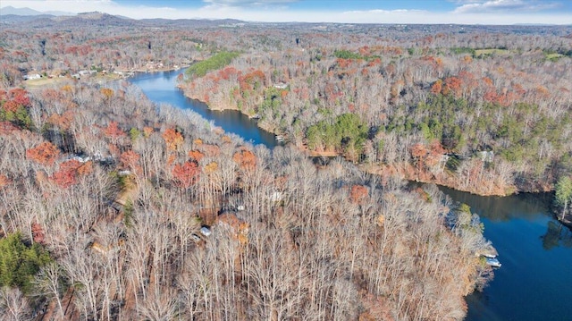 birds eye view of property featuring a water and mountain view