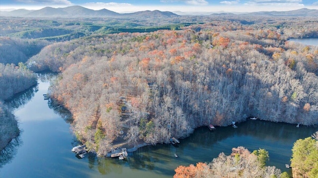 drone / aerial view with a water and mountain view