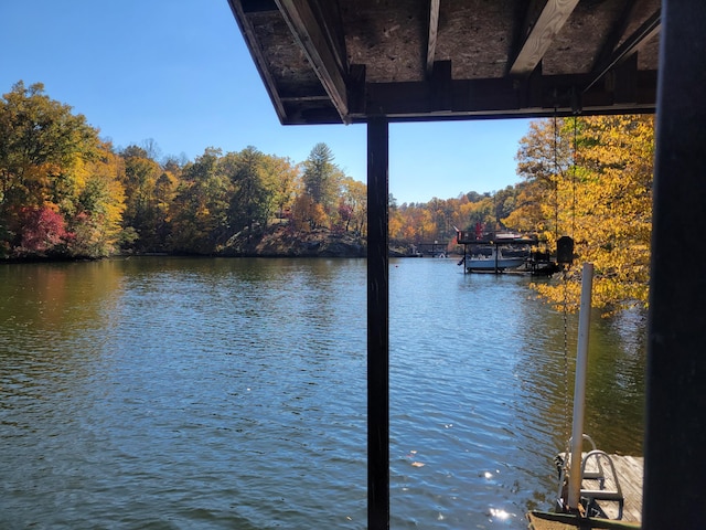 dock area with a water view