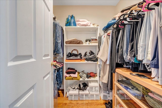 walk in closet with wood-type flooring