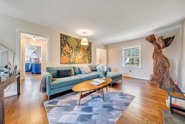 living room featuring wood-type flooring