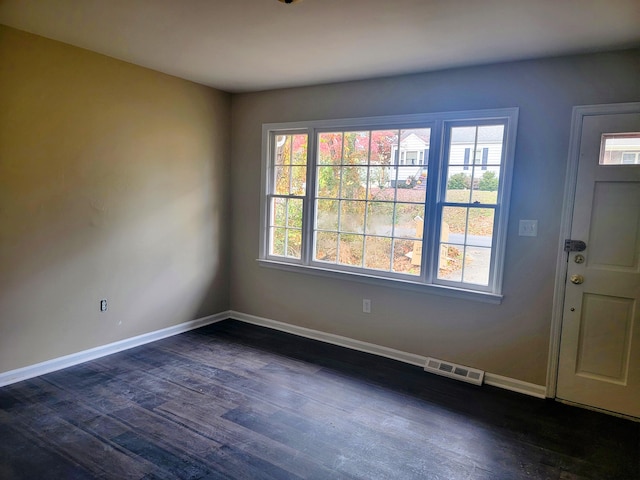 foyer entrance featuring dark wood-type flooring